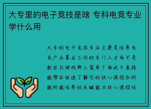 大专里的电子竞技是啥 专科电竞专业学什么用